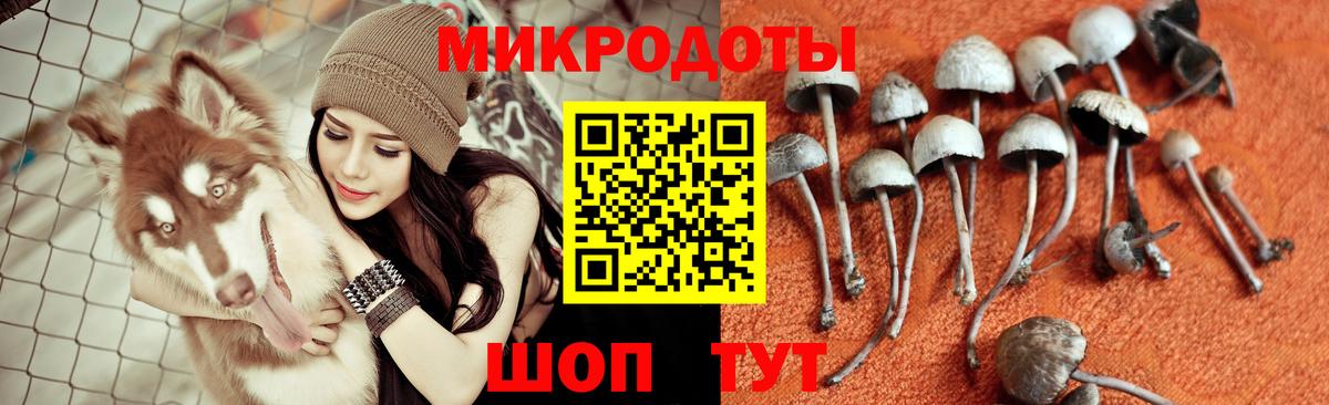 Галлюциногенные грибы мицелий  Вход с VPN  Лосино-Петровский 